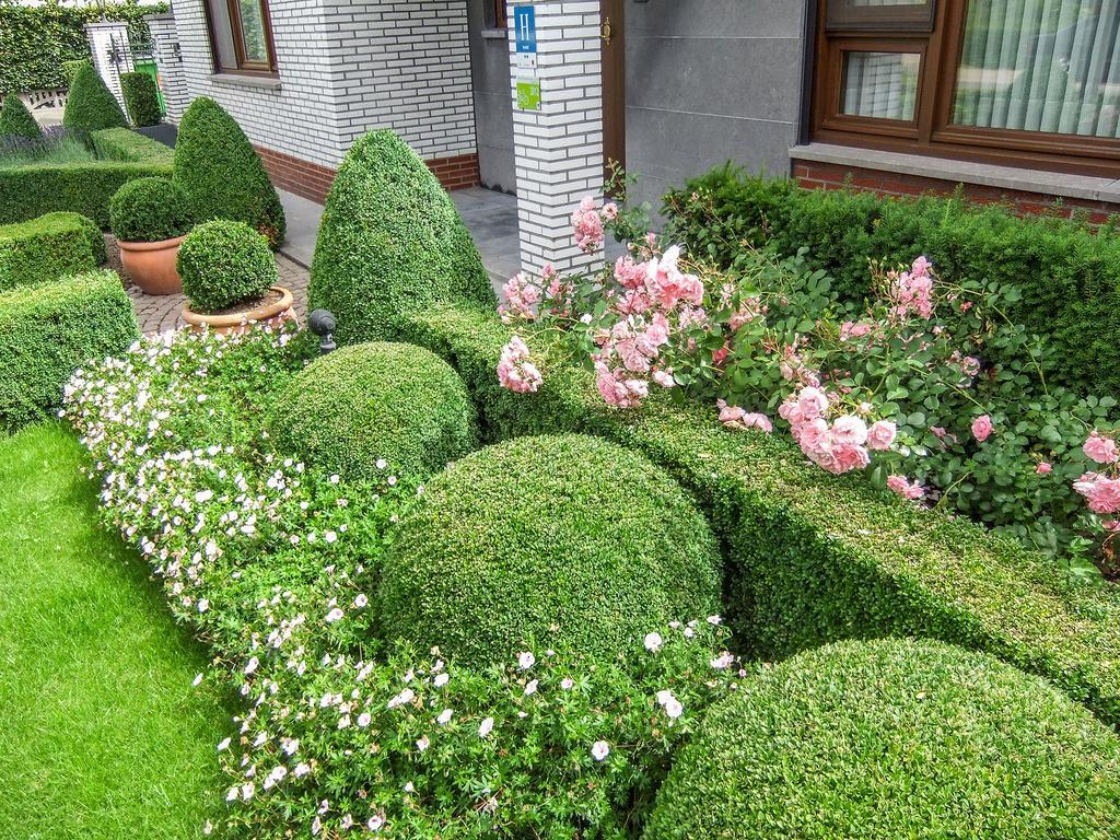 Hotel Wilgenhof ماسايك المظهر الخارجي الصورة